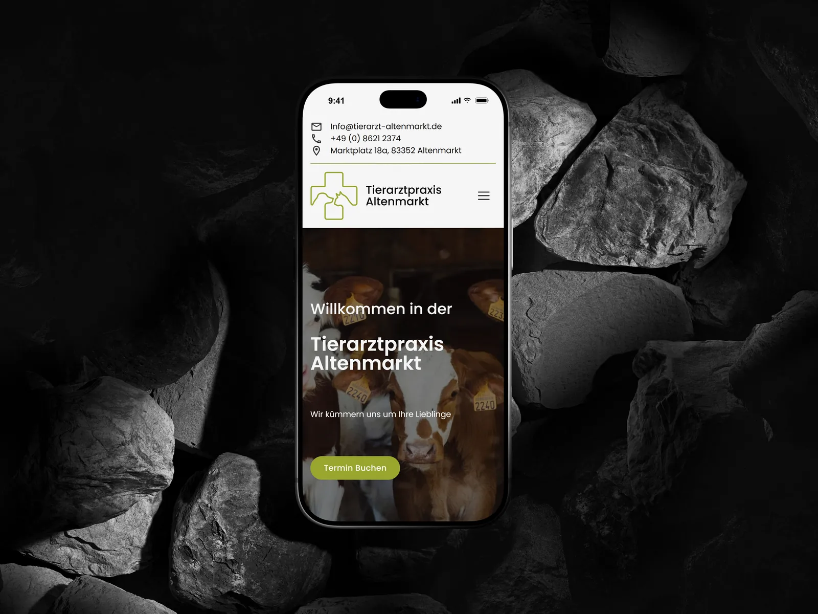 Website mobil auf einem iPhone