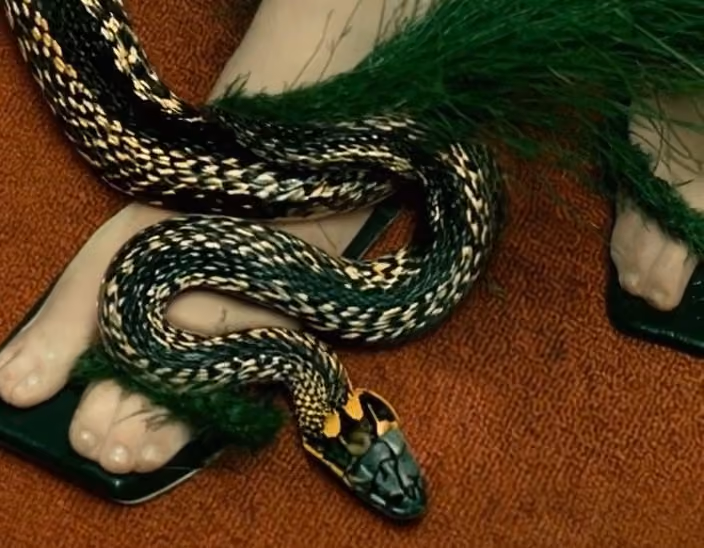 Serpiente enroscada entre pies blancos y plumas verdes