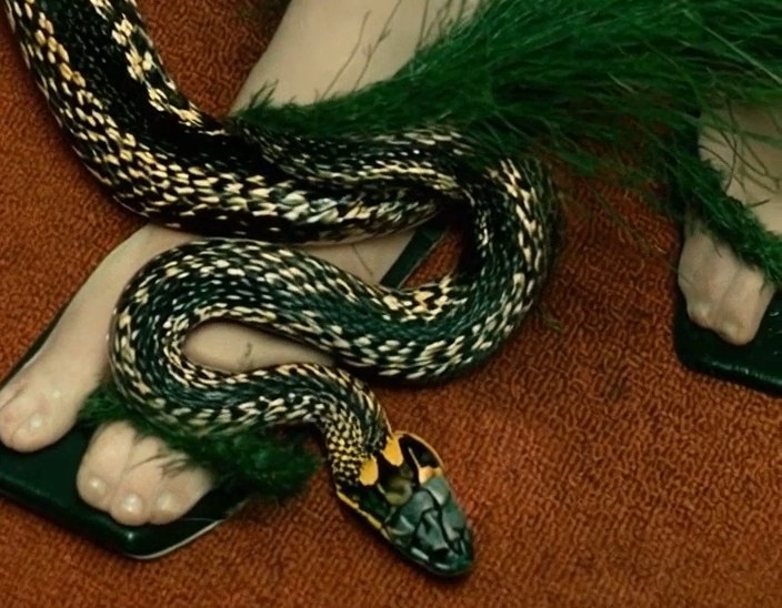 Serpiente enroscada entre pies blancos y plumas verdes