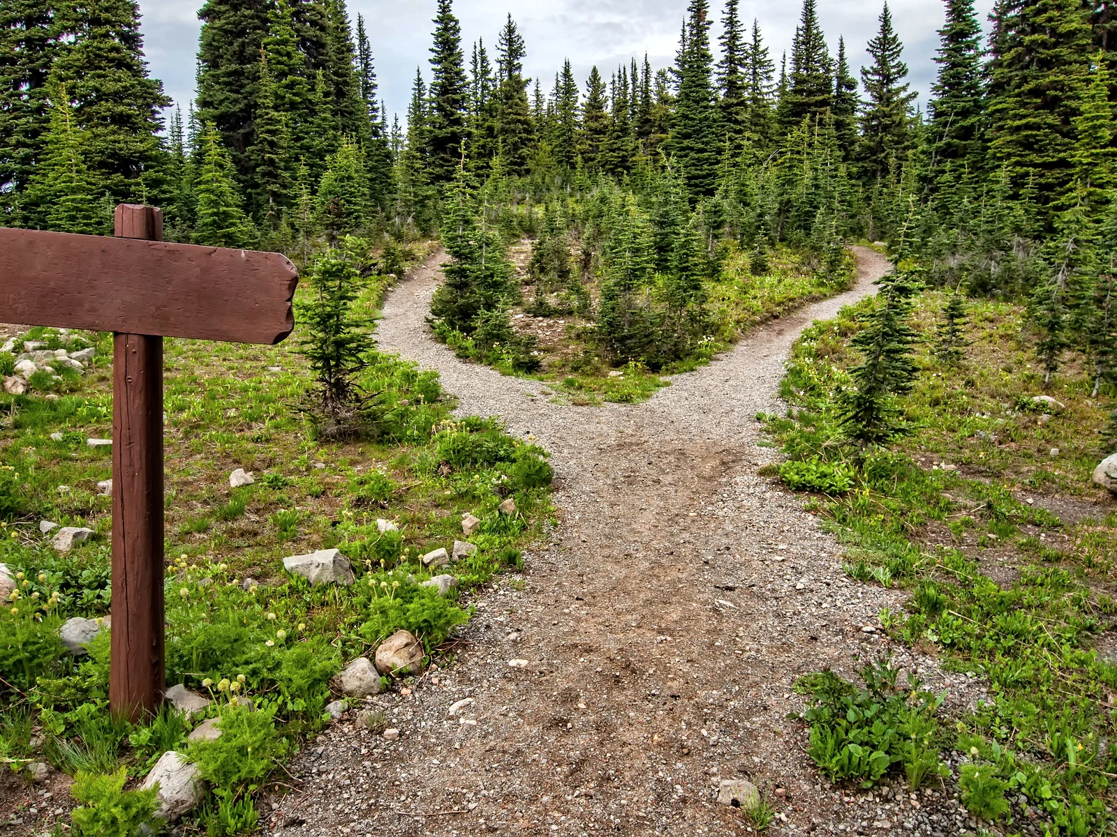 Website redesign vs rebuild: a forked trail with a sign at the split