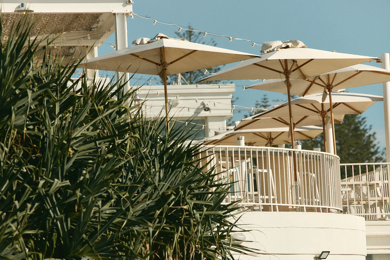 Pandanus palms in front of a curved white balcony lined with cream umbrellas and festoon lights, under a blue sky.