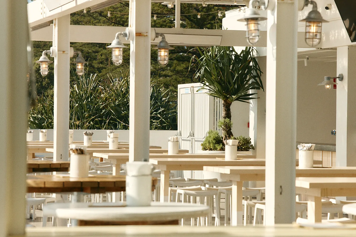 Sunny terrace of white tables and stools under glowing caged lanterns, backed by pandanus palms and pine trees.