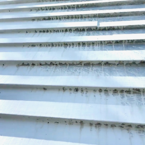 Soft wash solution being applied to a delicate exterior surface