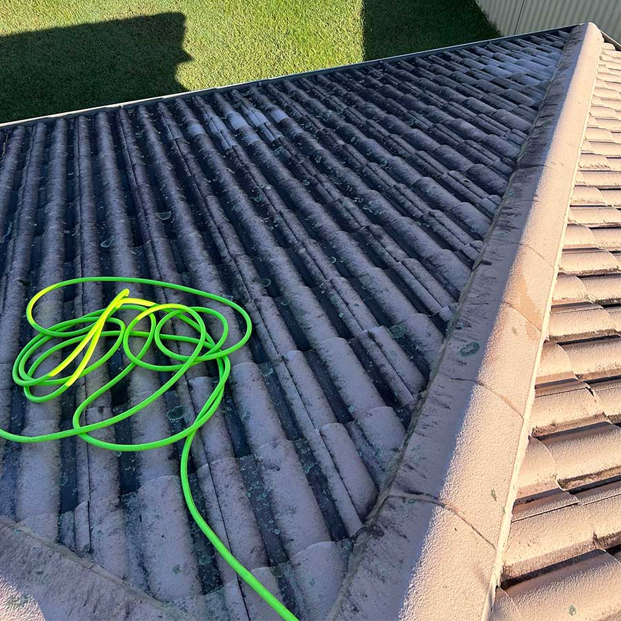 Roof covered in mould and lichen before roof cleaning