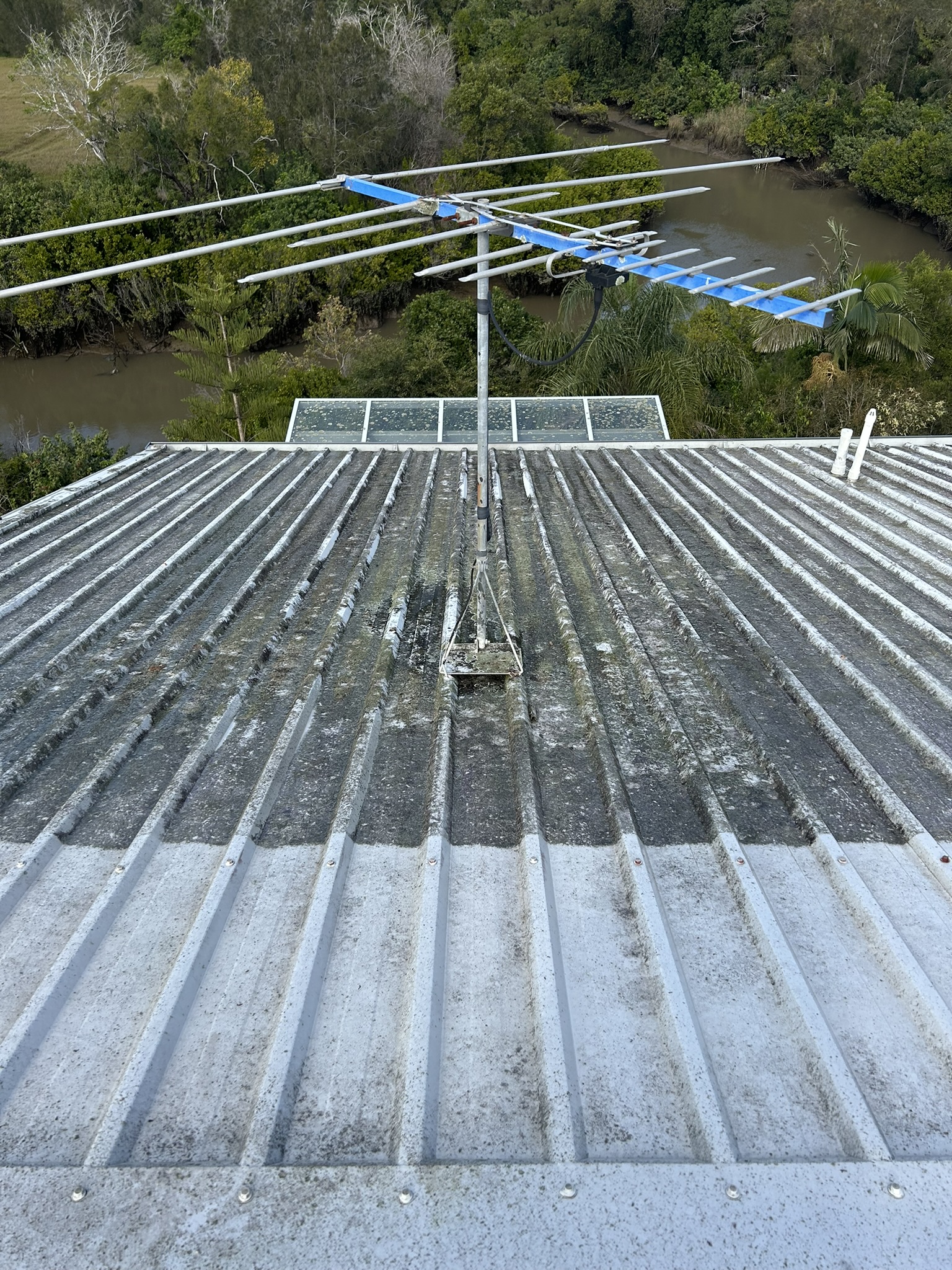 A thirty year old Corinda roof covered in lichen and moss before cleaning