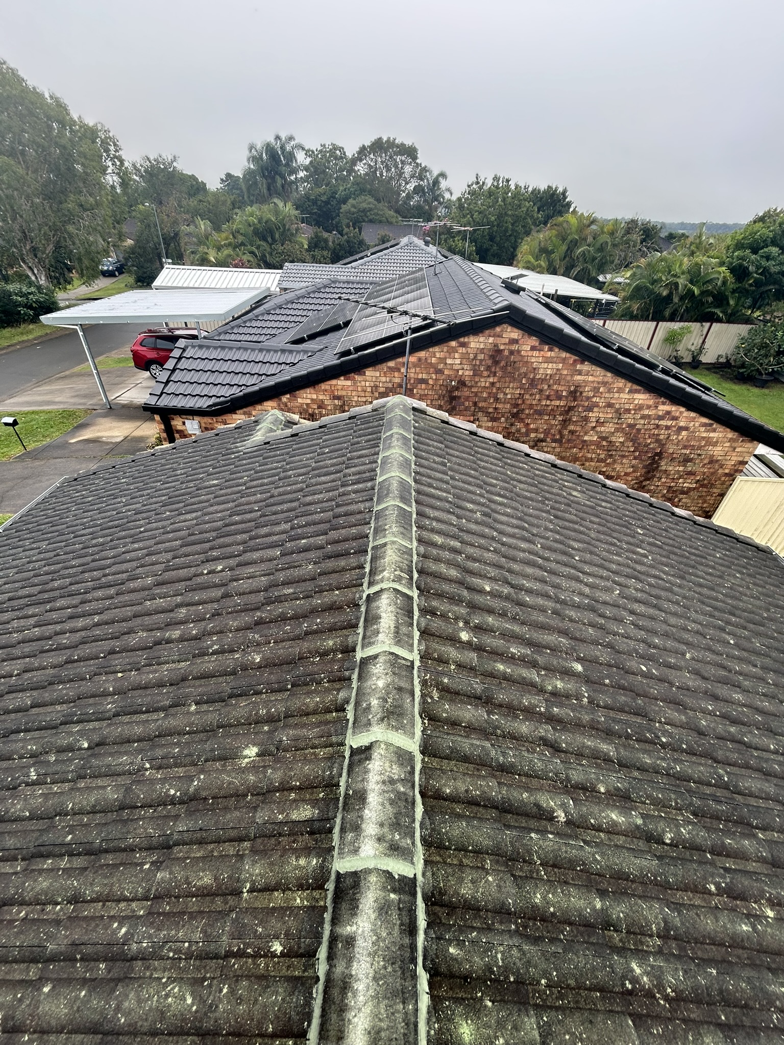 A concrete tile roof heavily stained with moss before cleaning