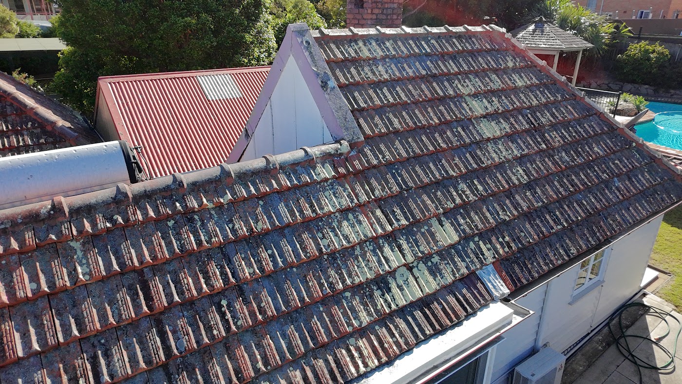 An old terracotta tile roof covered in moss and lichen before treatment