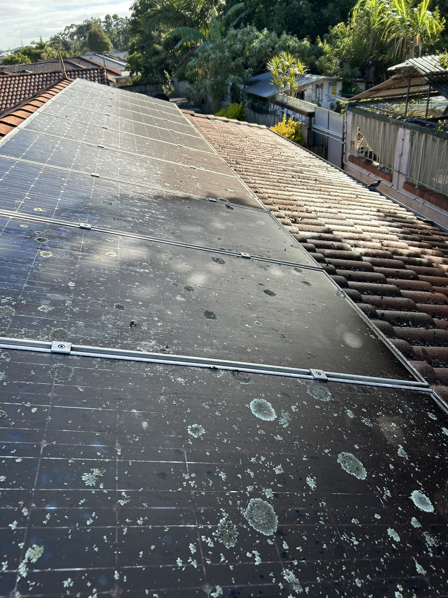 Dirty solar panels covered in dust and grime before cleaning