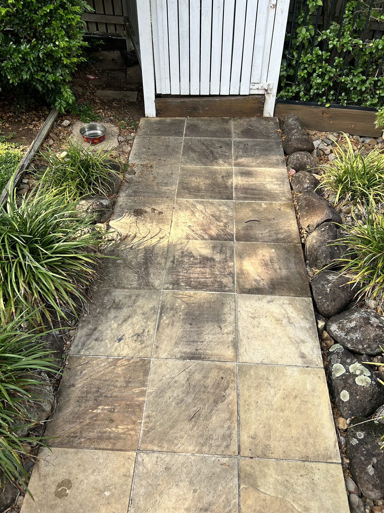 A sandstone path darkened with growth before low-pressure cleaning