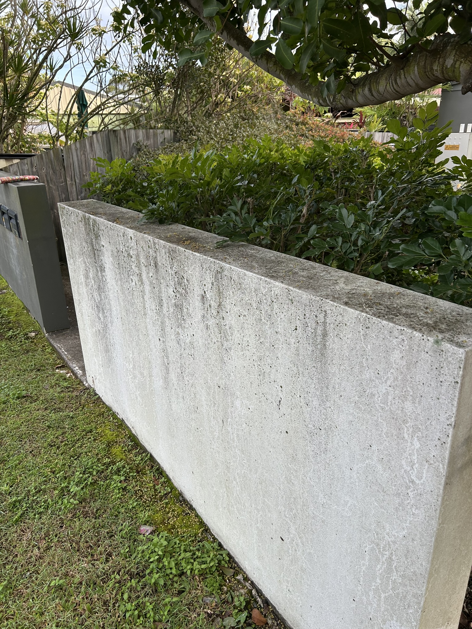 A rendered fence marked with mould and grime before soft washing