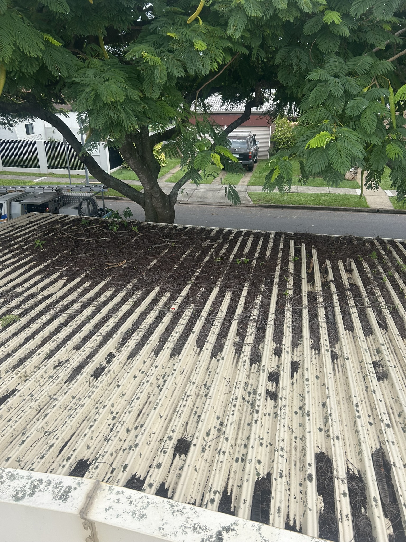 A gutter packed with leaf litter and debris before cleaning