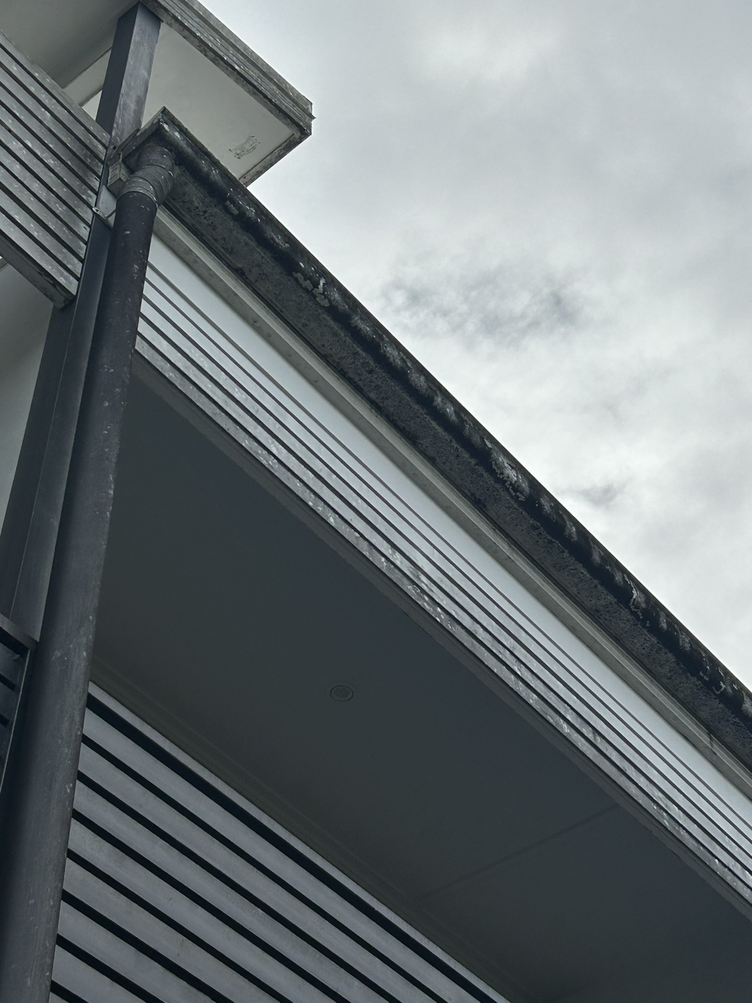 The exterior of a house with dirty gutters and walls before washing
