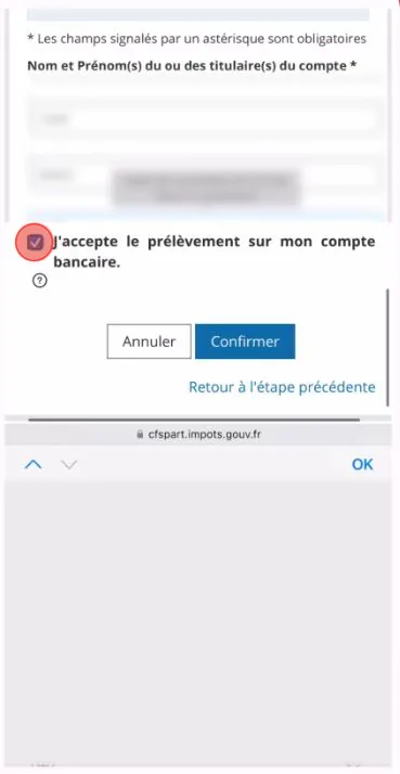Capture d’écran Impôts, étape 8