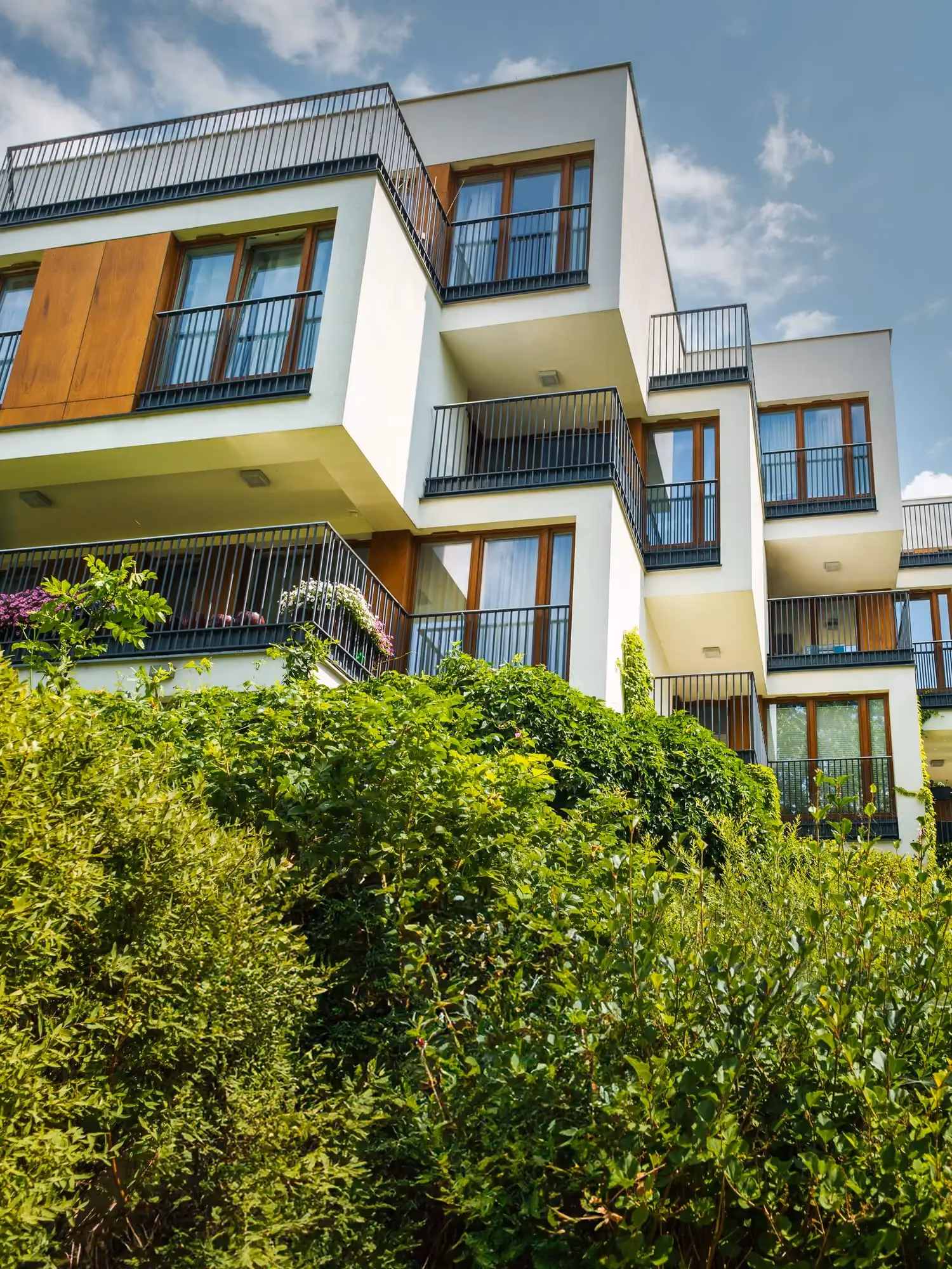 White cube apartments above a green hedge