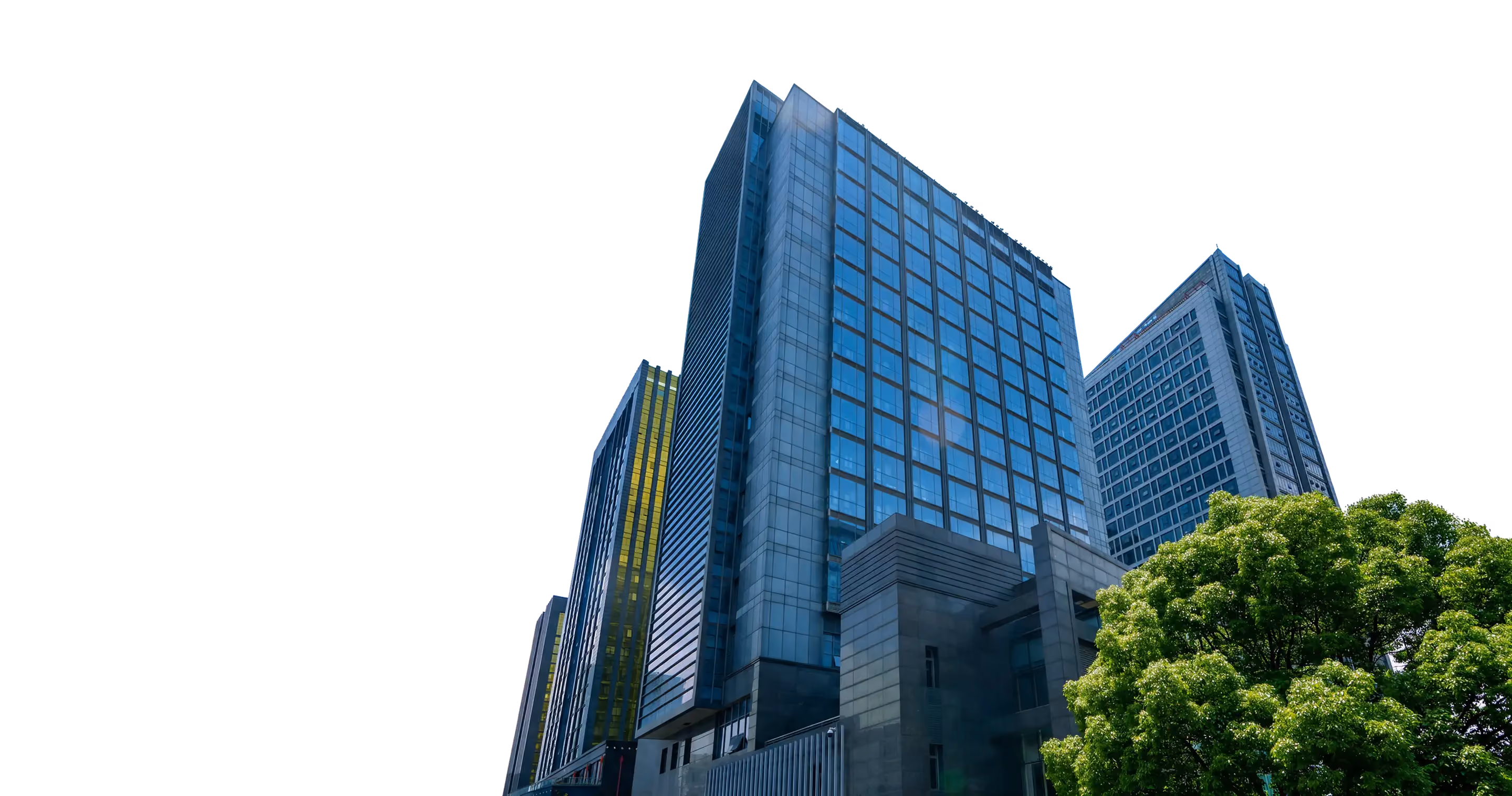Blue glass office towers rising above a leafy green tree