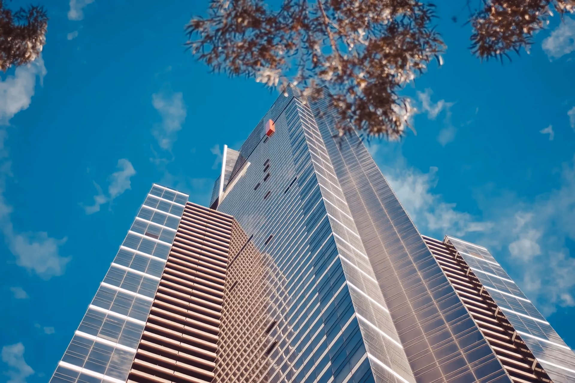 Brick and glass tower seen from below through autumn branches