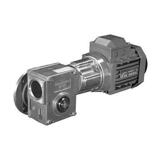 Benzlers Snekkevekselmotor Serie BS