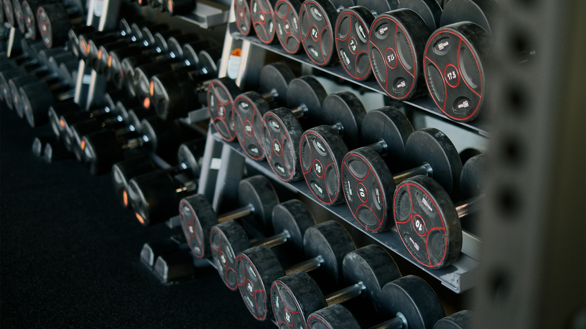Dumbbell racks with a variety of free weights at The Strength Yard in West Palm Beach, FL.