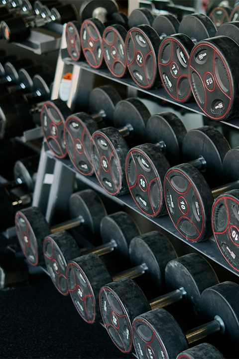 Dumbbell racks with a variety of free weights at The Strength Yard in West Palm Beach, FL.