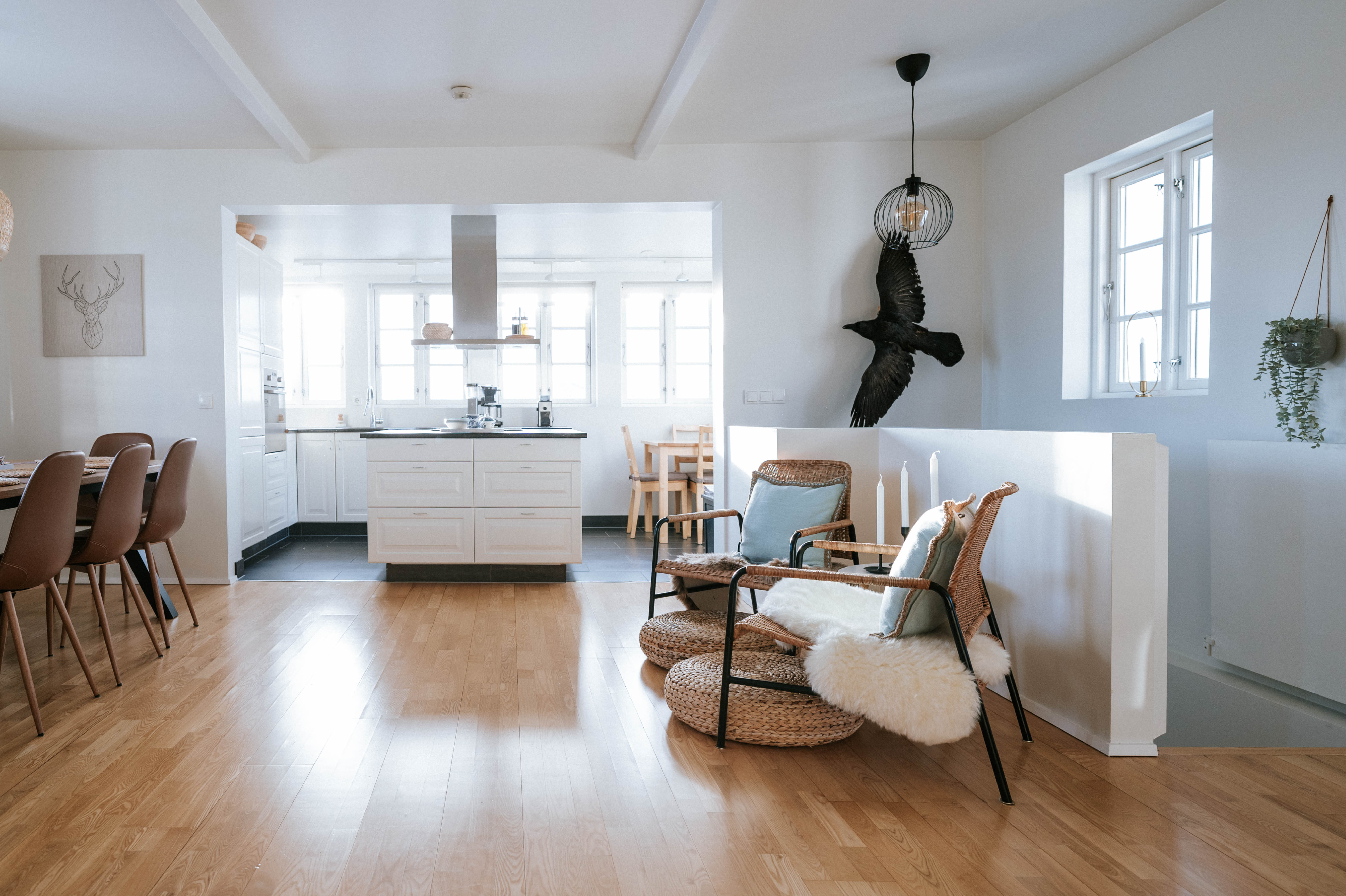 Open-plan kitchen, dining and living area
