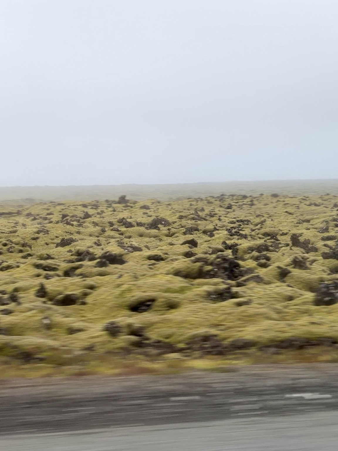 Fragile moss-covered lava landscape in Iceland
