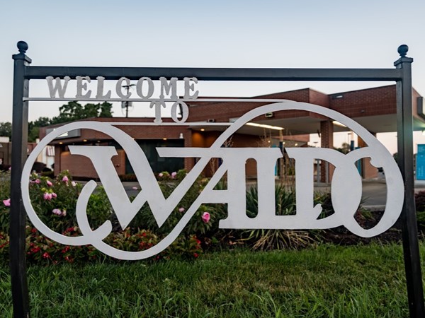 A Local’s Guide to Waldo