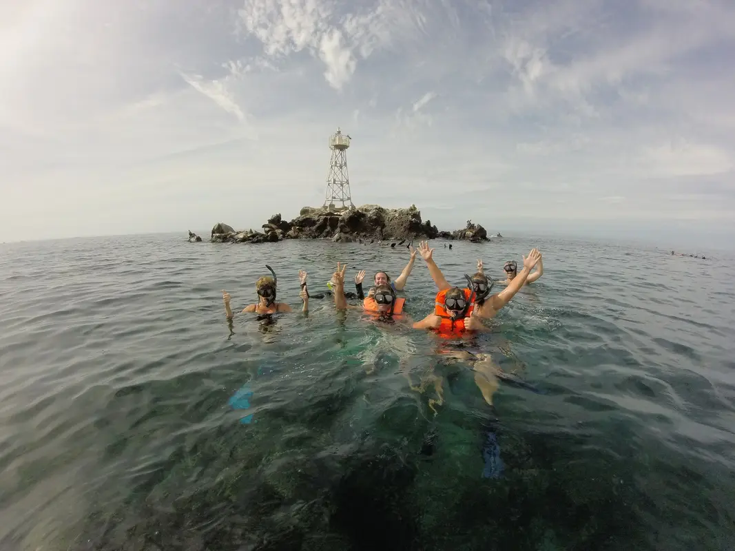 Sea Lions and Balandra