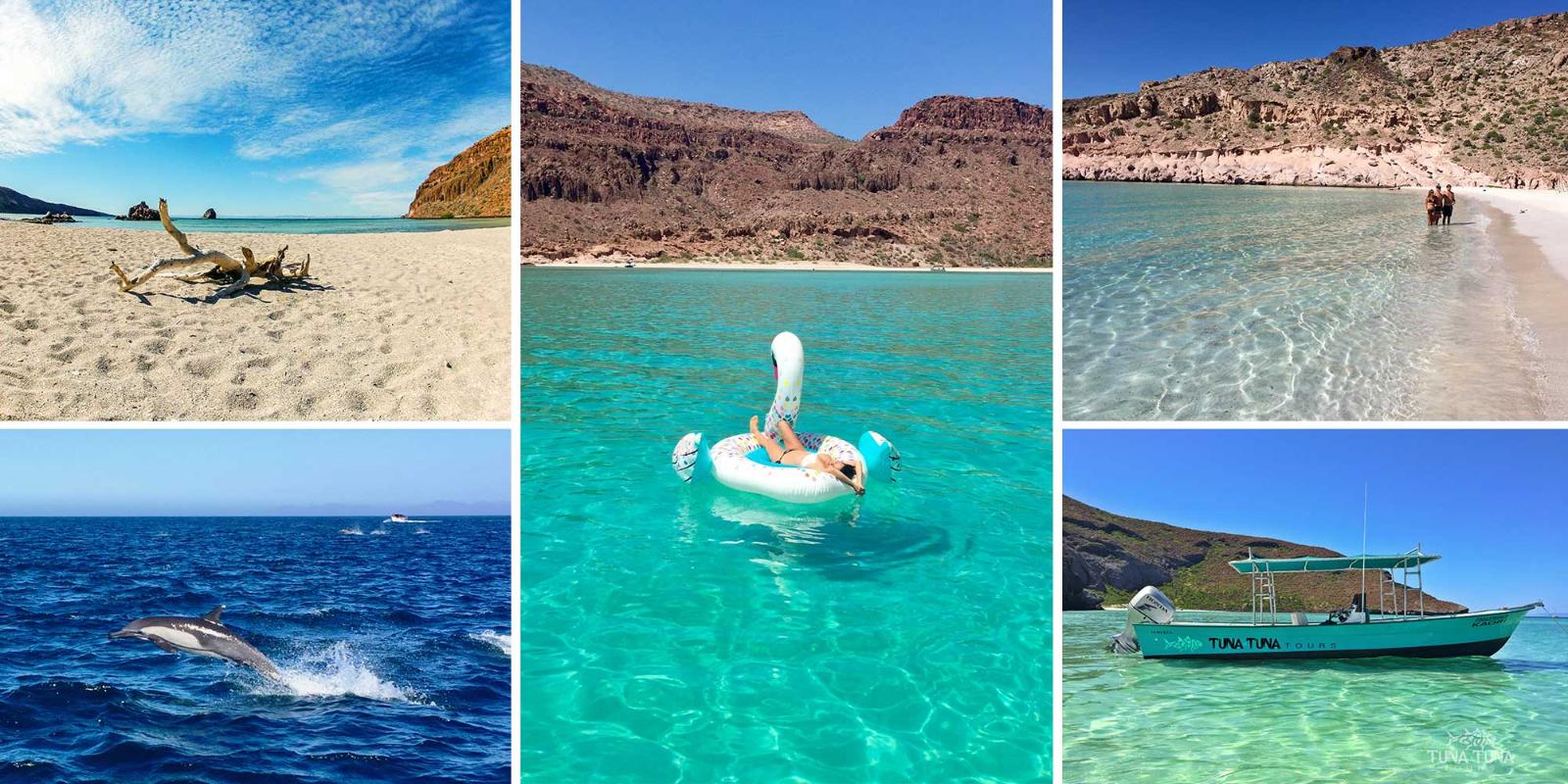 Espiritu Santo Island Experience