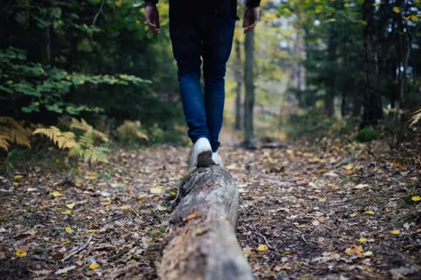 Person wearing blue jeans and white shoes walking on a fallen tree trunk in a forest with a leaf-covered ground.