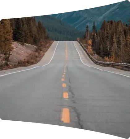 Empty two-lane road with yellow dashed centerline running through a forested mountain area with tall pine trees on both sides.