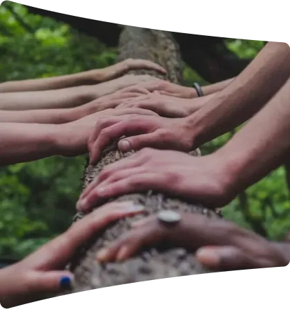 Multiple hands of different people placed on a tree trunk in a forest, symbolizing unity and connection with nature.