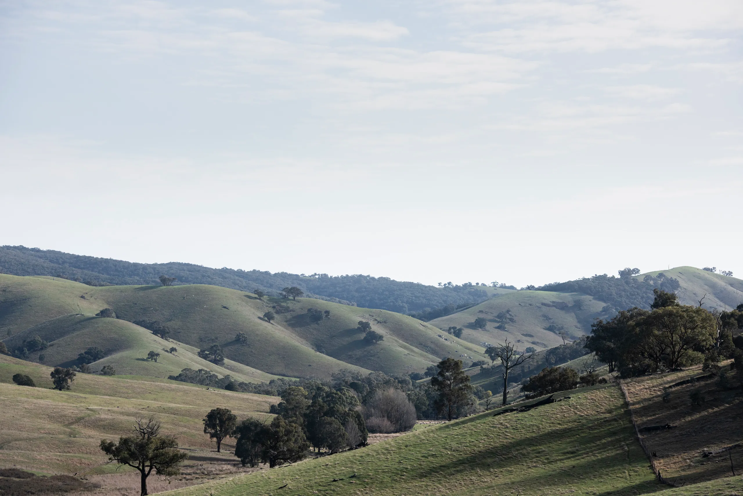 Farmland in the Euroa electorate