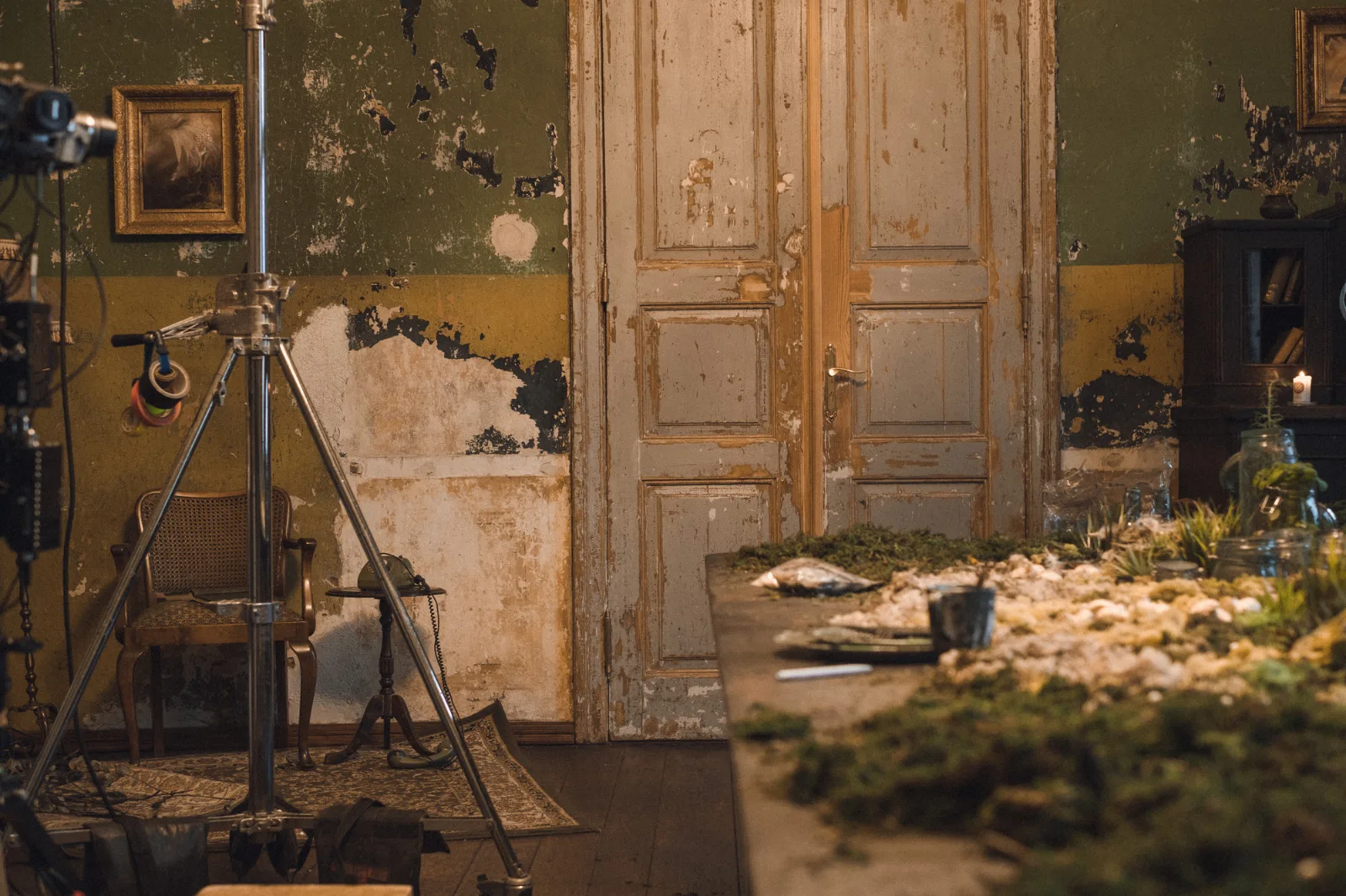 Your Dream – an old room with peeling walls, a lamp on a tripod and moss on the floor