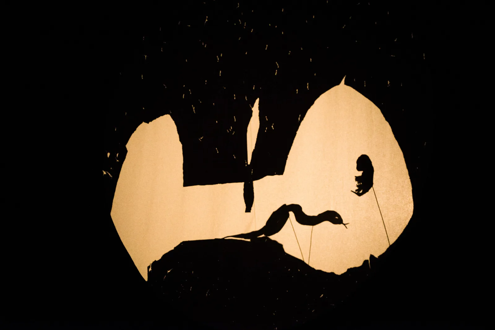 Lila – shadow puppets of a bird and a small figure inside a lit oval
