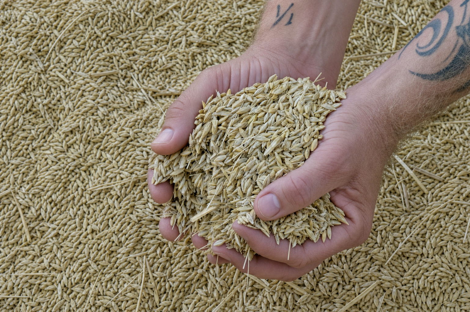 Bruern Flour