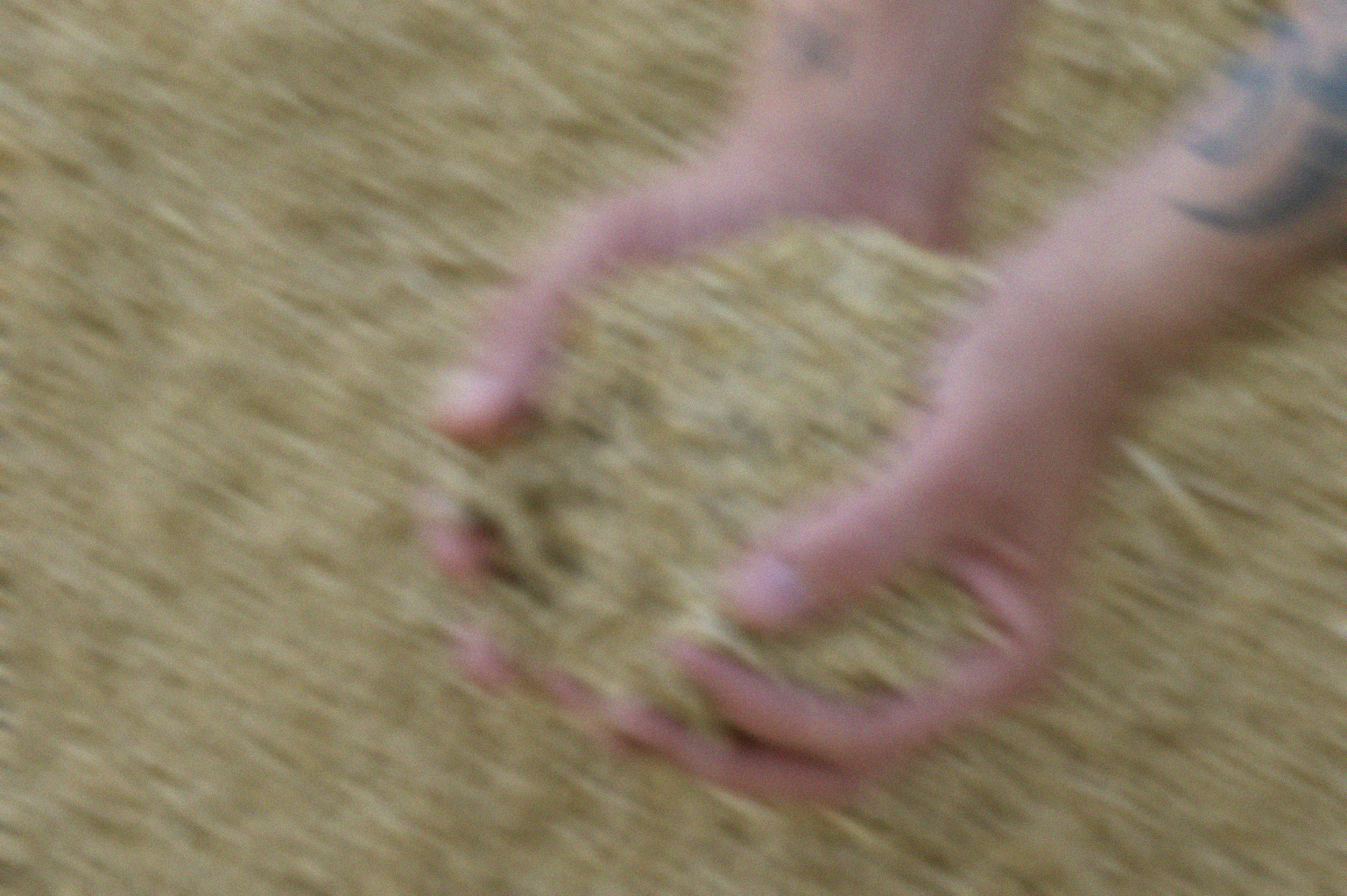 blur image on top of hero