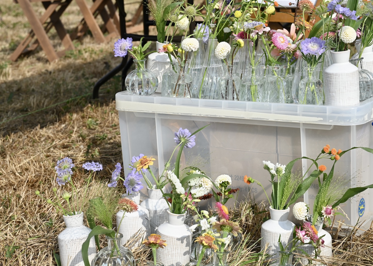 Ivydene Flower Farm