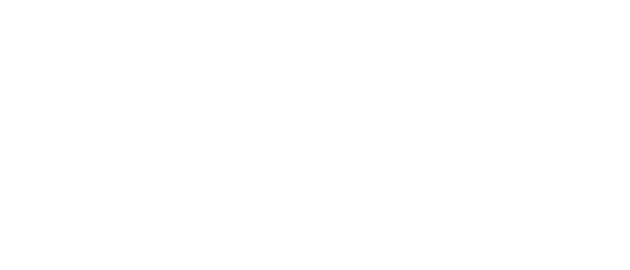 hydro.website premium webflow partner logo