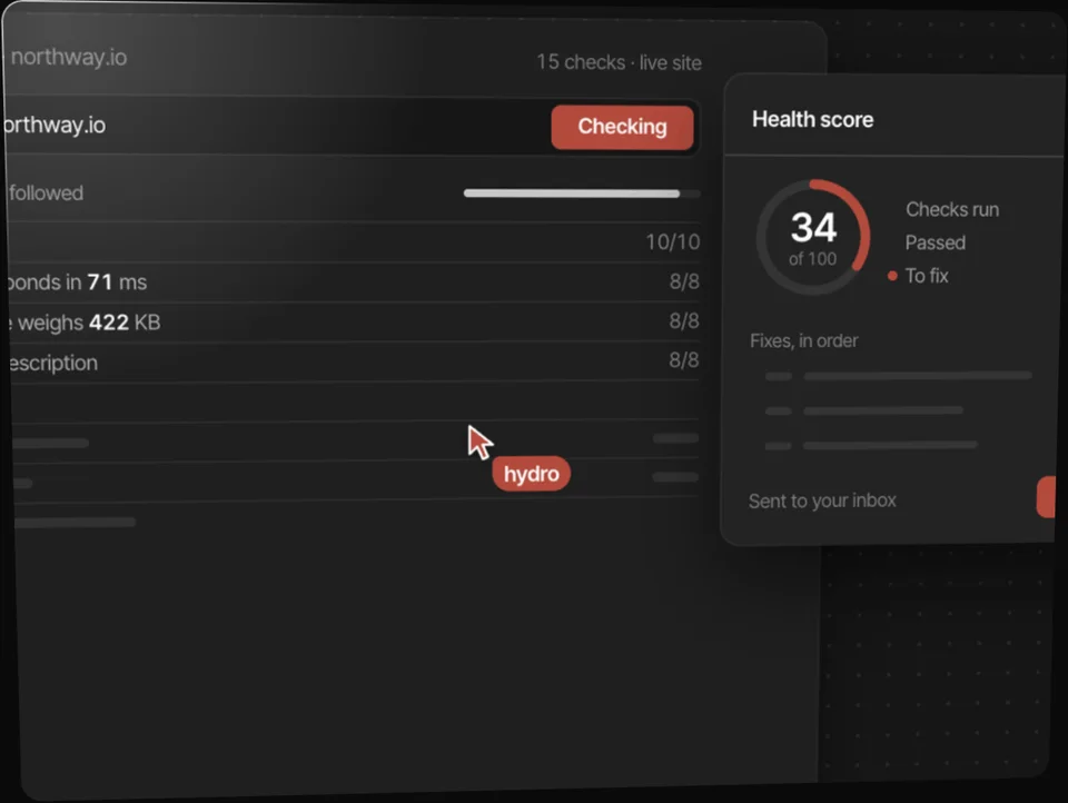Website Health Check by hydro.website premium webflow partner