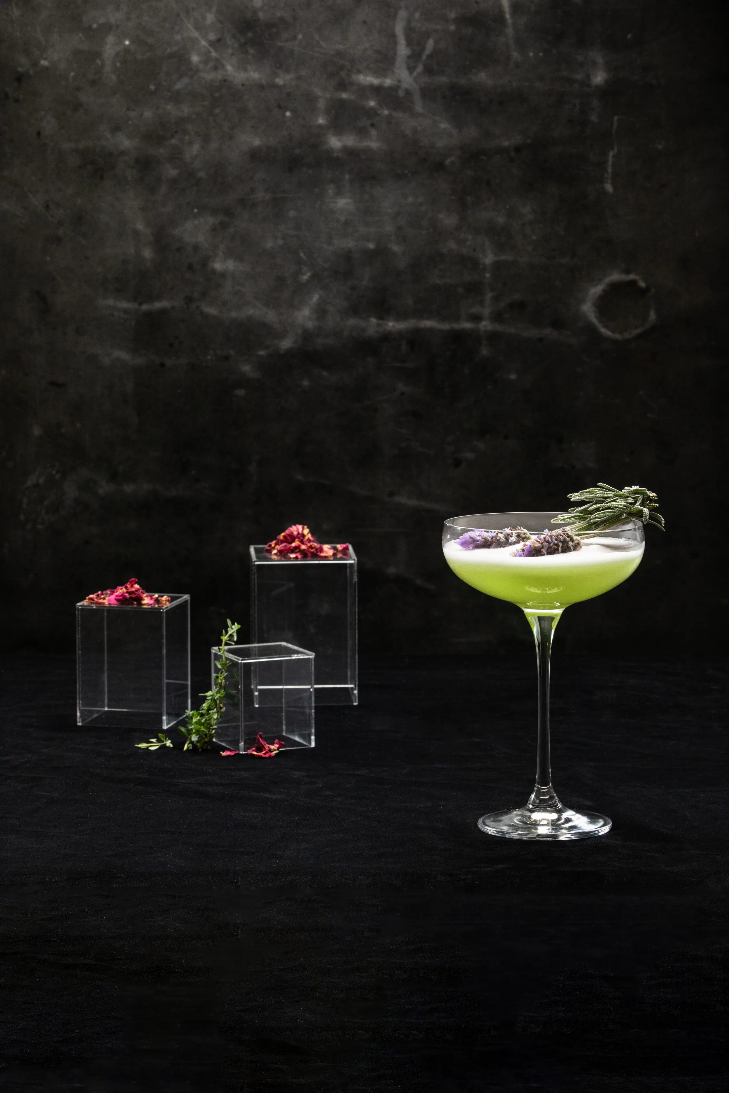 The Last Word with rose petals