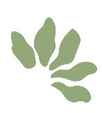 Kalos lead sprig arranged in a curved pattern on a white background.