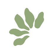 Kalos illustration of a simple green plant branch with eight oval leaves arranged in a loose, curved pattern.