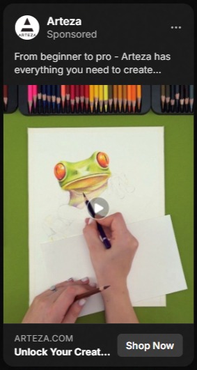 A person drawing a realistic frog with colored pencils on white paper, with a row of colored pencils at the top; an Arteza ad caption reads 'From beginner to pro - Arteza has everything you need to create...' and a Shop Now button is shown.