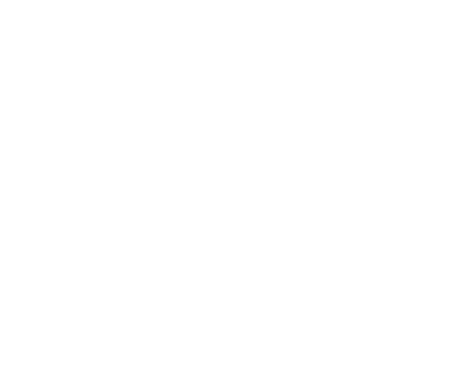 White geometric bird shape above the text 'BI WORLDWIDE' on a transparent background.