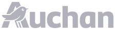 Auchan logo featuring a stylized bird integrated into the letter A and the word 'uchan' in bold dark blue letters.