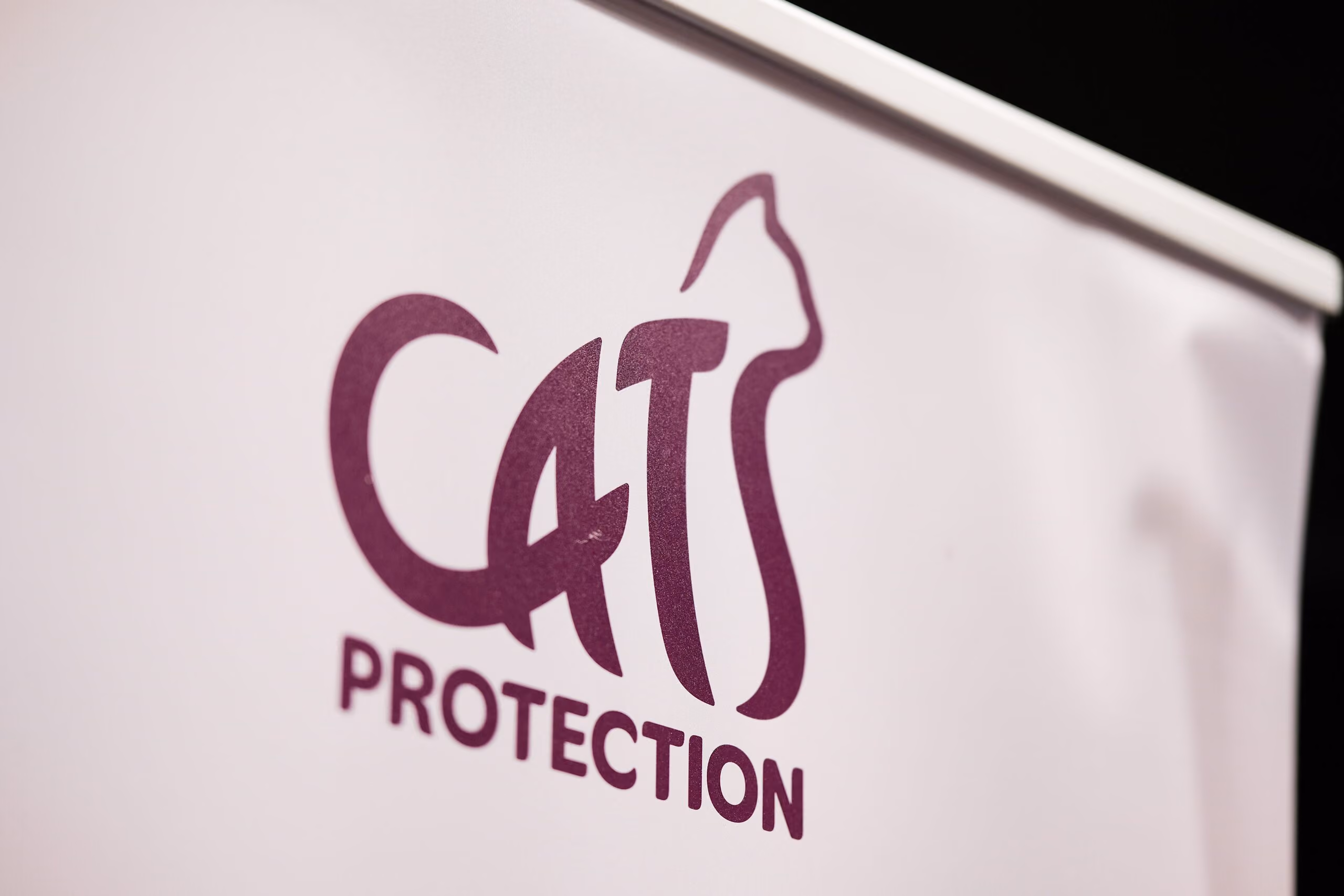 Banner with a purple logo of the word 'CATS' where the letter T is shaped like a sitting cat, above the word 'PROTECTION' in capital letters.