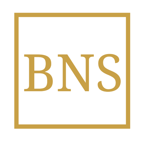 BNS IT