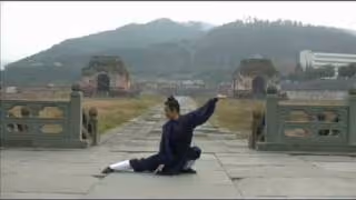 Les 5 animaux du Wudang