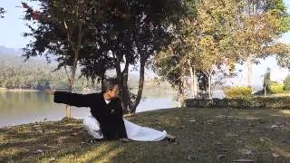 Les 5 animaux, Qi Gong du Wudang
