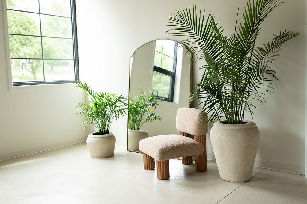 West Edit, window, mirror and palms